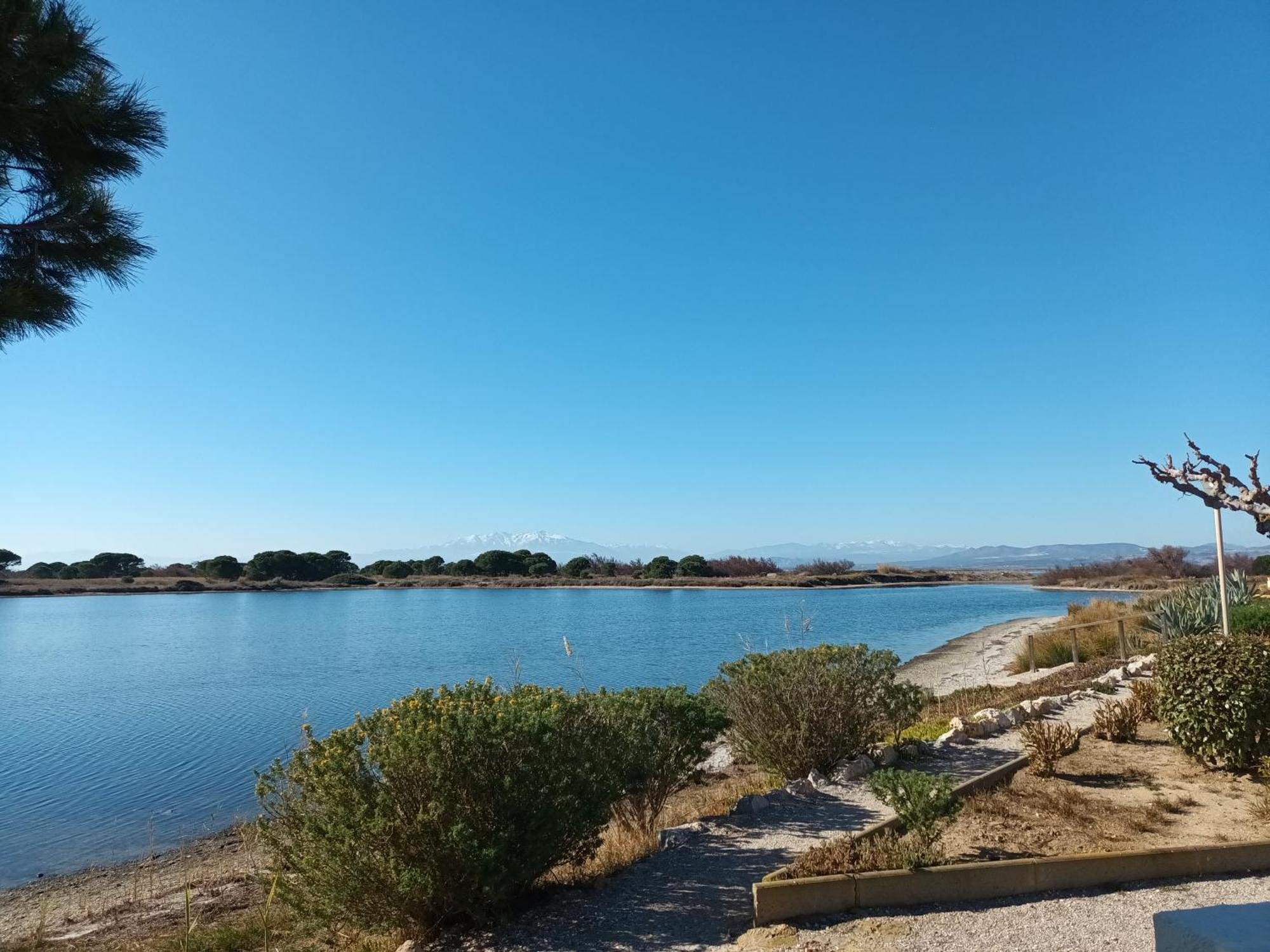 Villa "Hawai" Port Leucate Eksteriør billede